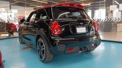 Mini Mini 2020