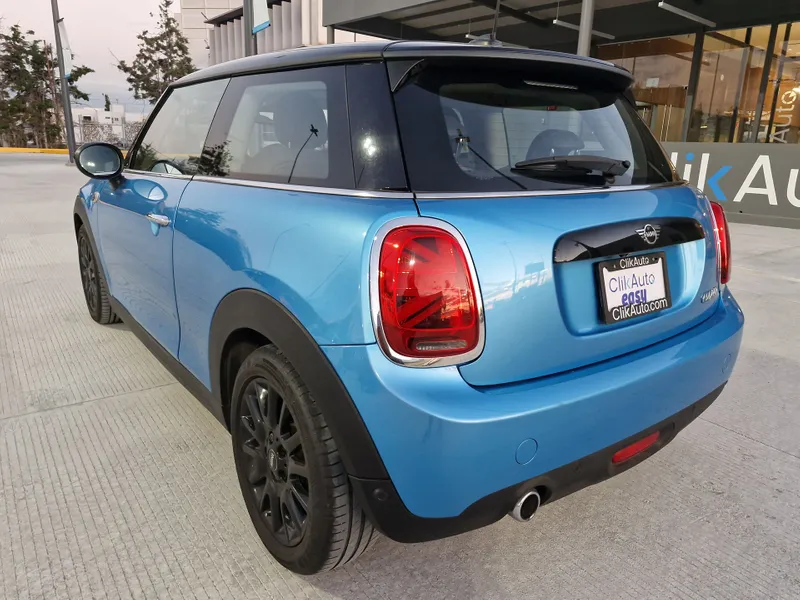 Mini Mini 2019